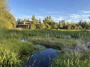 Water view with a heavily wooded area