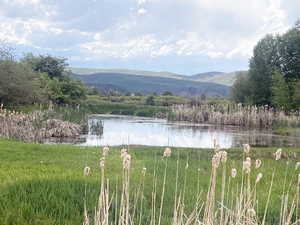 Water view featuring a mountainous background