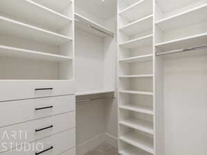 Spacious closet featuring light colored carpet