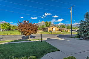 View of grassy yard with a mountain view