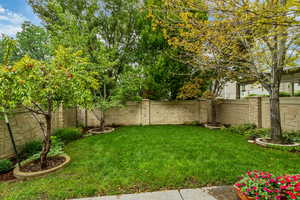 View of fenced backyard