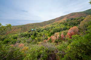View from top of Lot - Mountain view with a forest