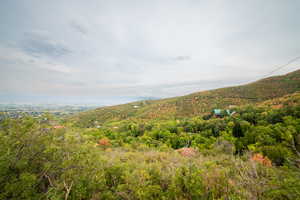 View from top of Lot - View of mountain backdrop with a heavily wooded area