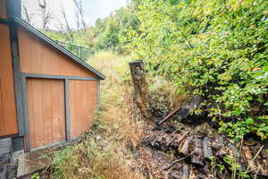 View of yard with a view of trees