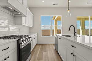 Kitchen featuring white cabinetry, stainless steel appliances, custom exhaust hood, tasteful backsplash, and light wood-style floors