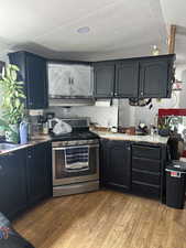 Kitchen with stainless steel gas range and dark wood-style flooring