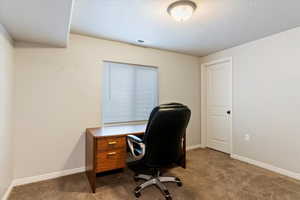 Carpeted home office with baseboards