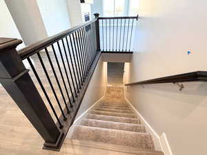 Stairs featuring carpet flooring and baseboards