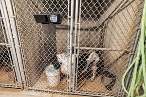 View of interior lower dog kennel