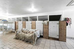 Dog area featuring a textured ceiling