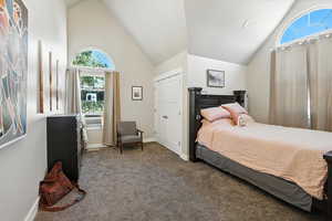 Carpeted bedroom featuring multiple windows, high vaulted ceiling, and a closet
