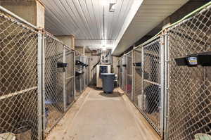 View of interior lower dog kennel with swamp cooler