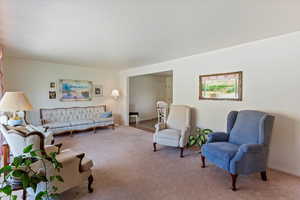 Living area with carpet floors