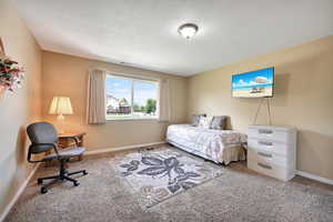 Bedroom featuring carpet floors and a textured ceiling