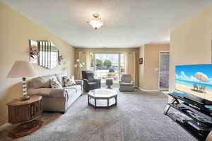 Carpeted living room with a textured ceiling and baseboards