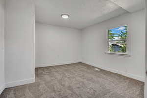 Unfurnished room with light carpet and a textured ceiling