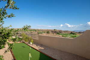 View of yard with a putting green