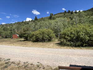 View of street with a forest view