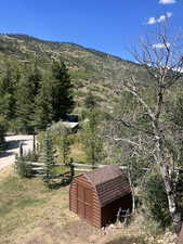 View of mountain background featuring a heavily wooded area