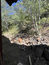 View of local wilderness