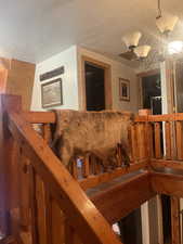 Detailed view of a textured ceiling