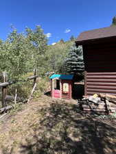 View of yard with an outbuilding