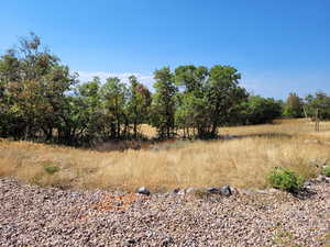 View of local wilderness with rural landscape