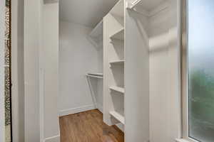 Spacious closet featuring light wood-style floors