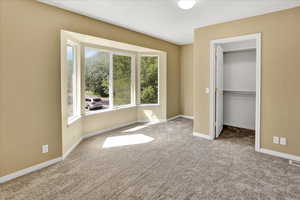 Unfurnished bedroom featuring a walk in closet and carpet floors