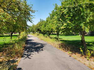View of asphalt road