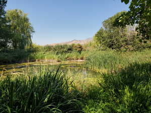 View of nature featuring a water and mountain view