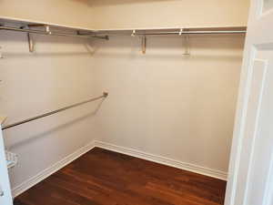 Walk in closet featuring dark wood-style flooring