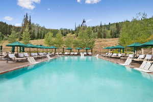 Community pool with a patio and a forest view