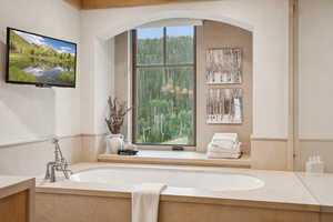 Full bathroom with a garden tub and vanity