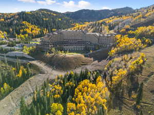 Mountain view with a forest