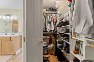 Spacious closet with light wood-style floors