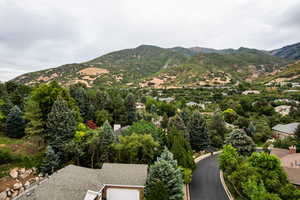 View of mountain background