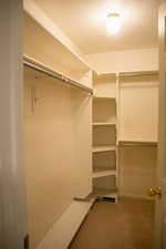 Walk in closet with light carpet