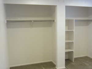 View of closet