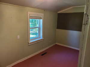 Spare room with dark carpet and vaulted ceiling