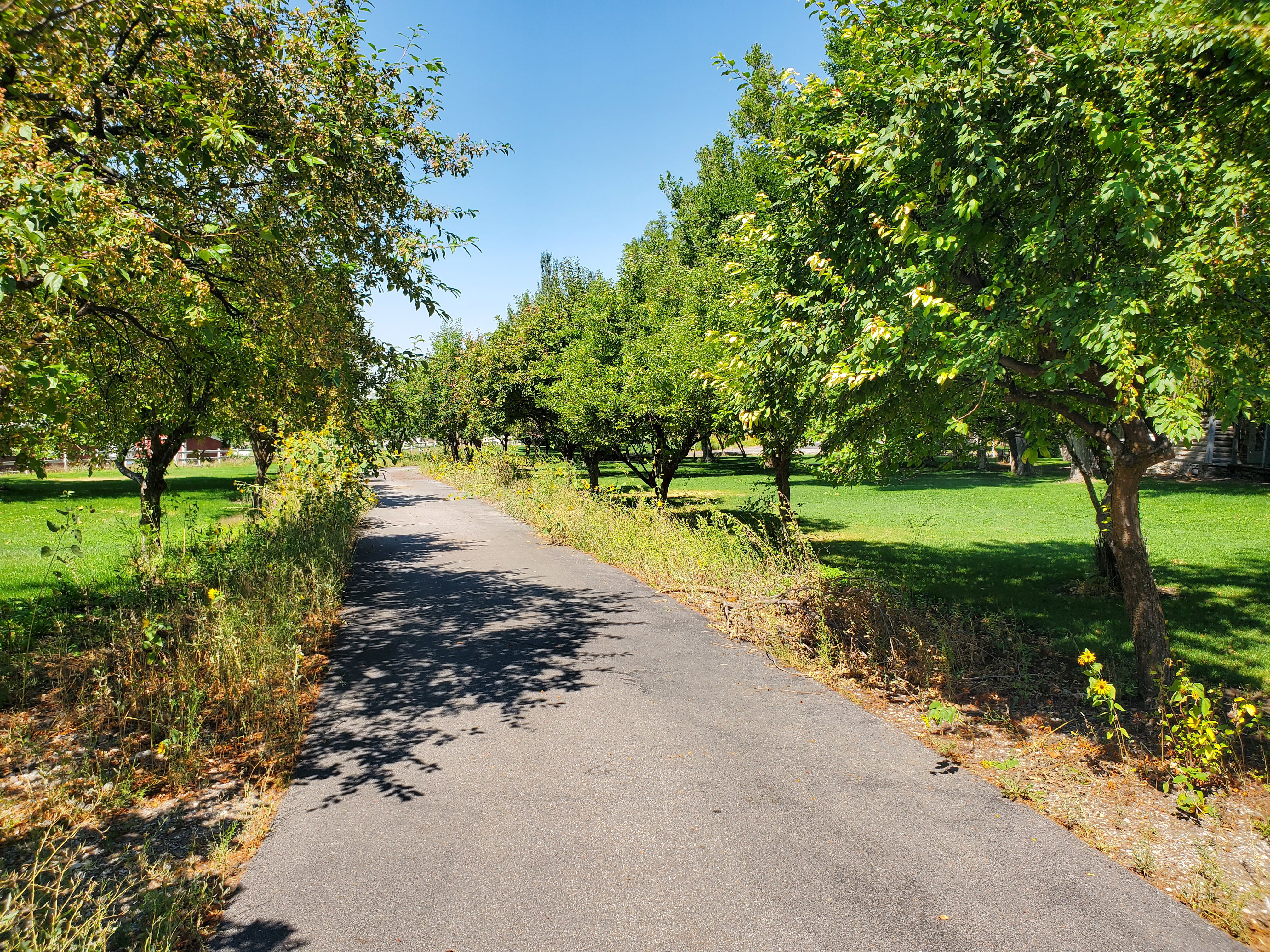 View of asphalt road