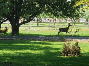 View of property's community