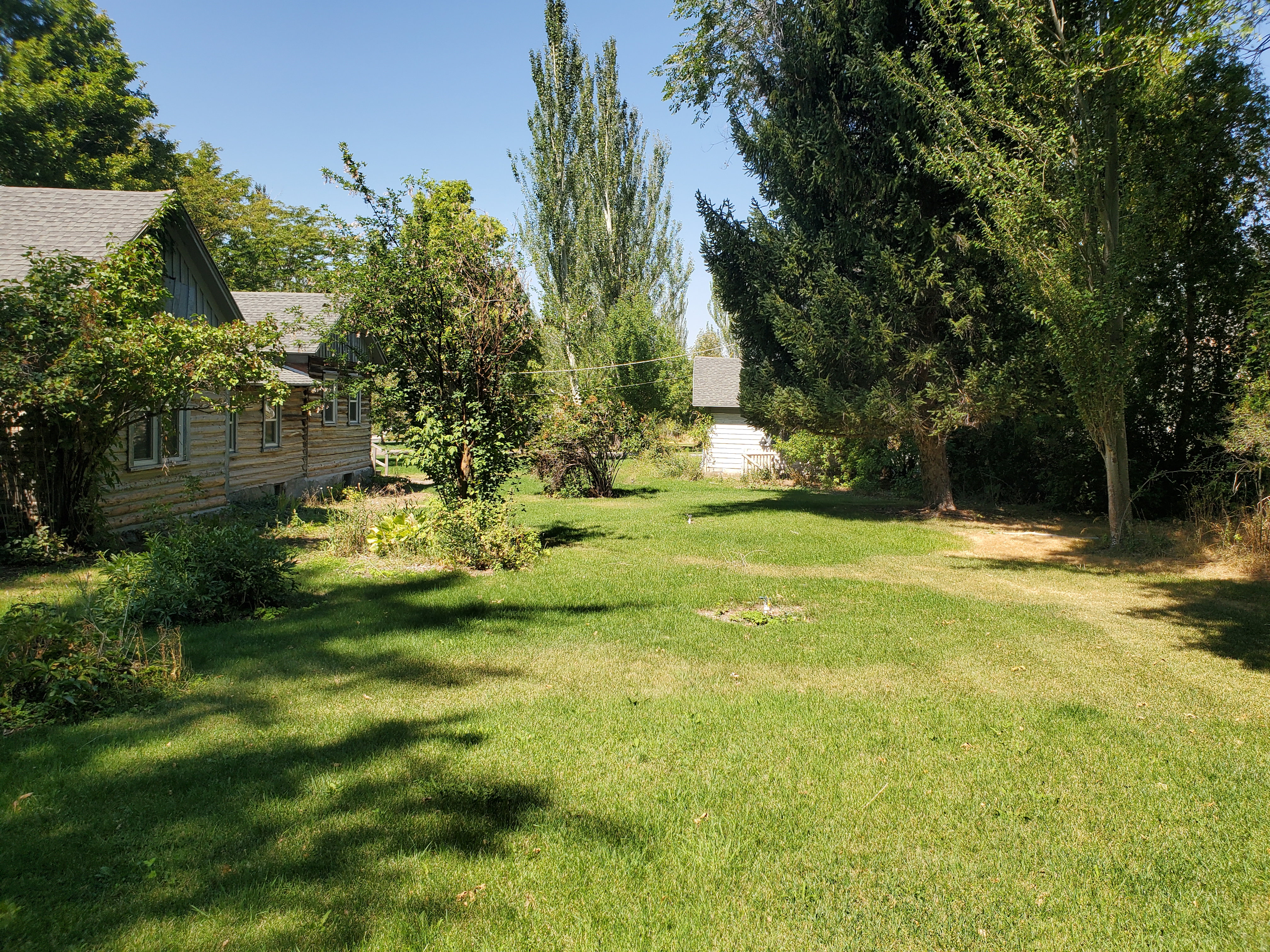 View of green lawn