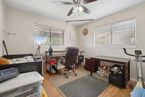 Home office featuring light wood finished floors, healthy amount of natural light, and ceiling fan
