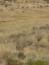View of nature featuring rural landscape