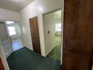 Corridor featuring carpet floors, plenty of natural light, and a textured ceiling