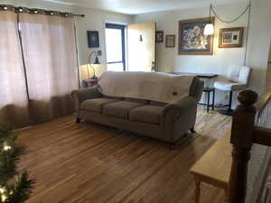 Living room featuring wood finished floors