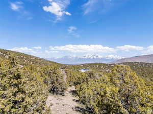 View of mountain background with a forest