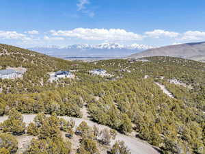 Mountain view featuring a forest