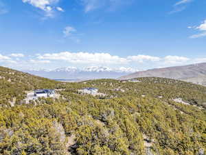 View of mountain background with a forest
